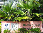 Roma Street Parklands Palm Garden